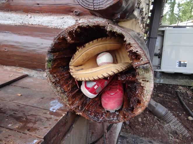 Got Rot? Knock Rot Out of the Park with M-Balm and E-Wood