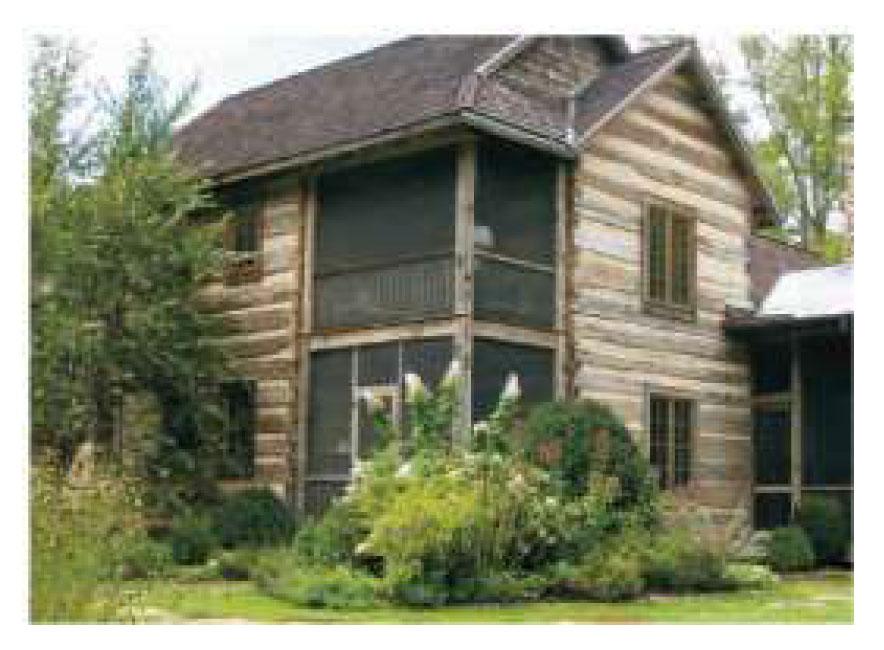 How to Pest Proof Your Home