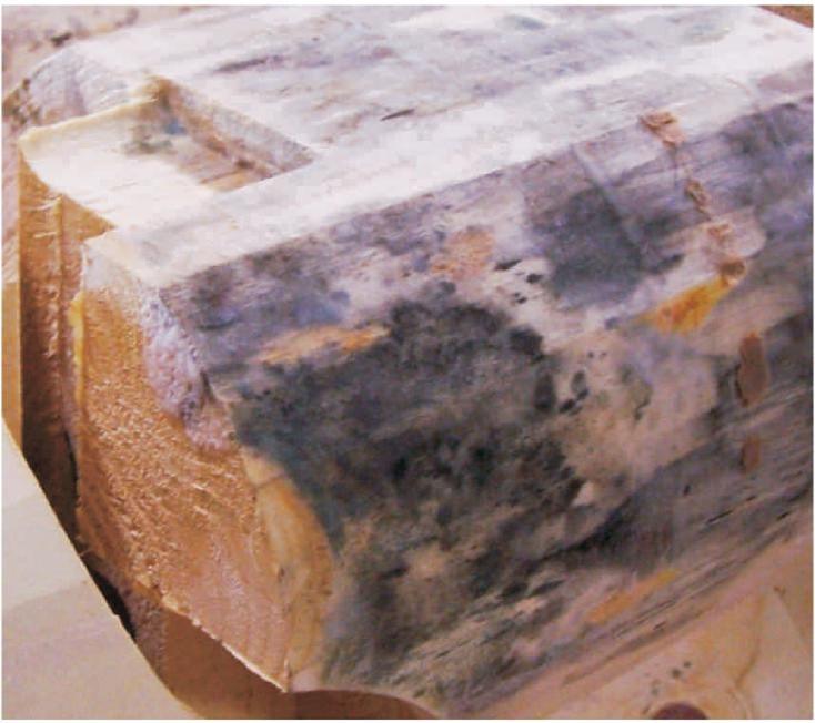 Preventing Mold Growth on Bare Wood