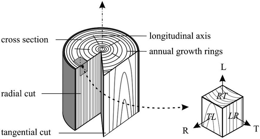 Wood Movement: What You Should Know Before You Apply