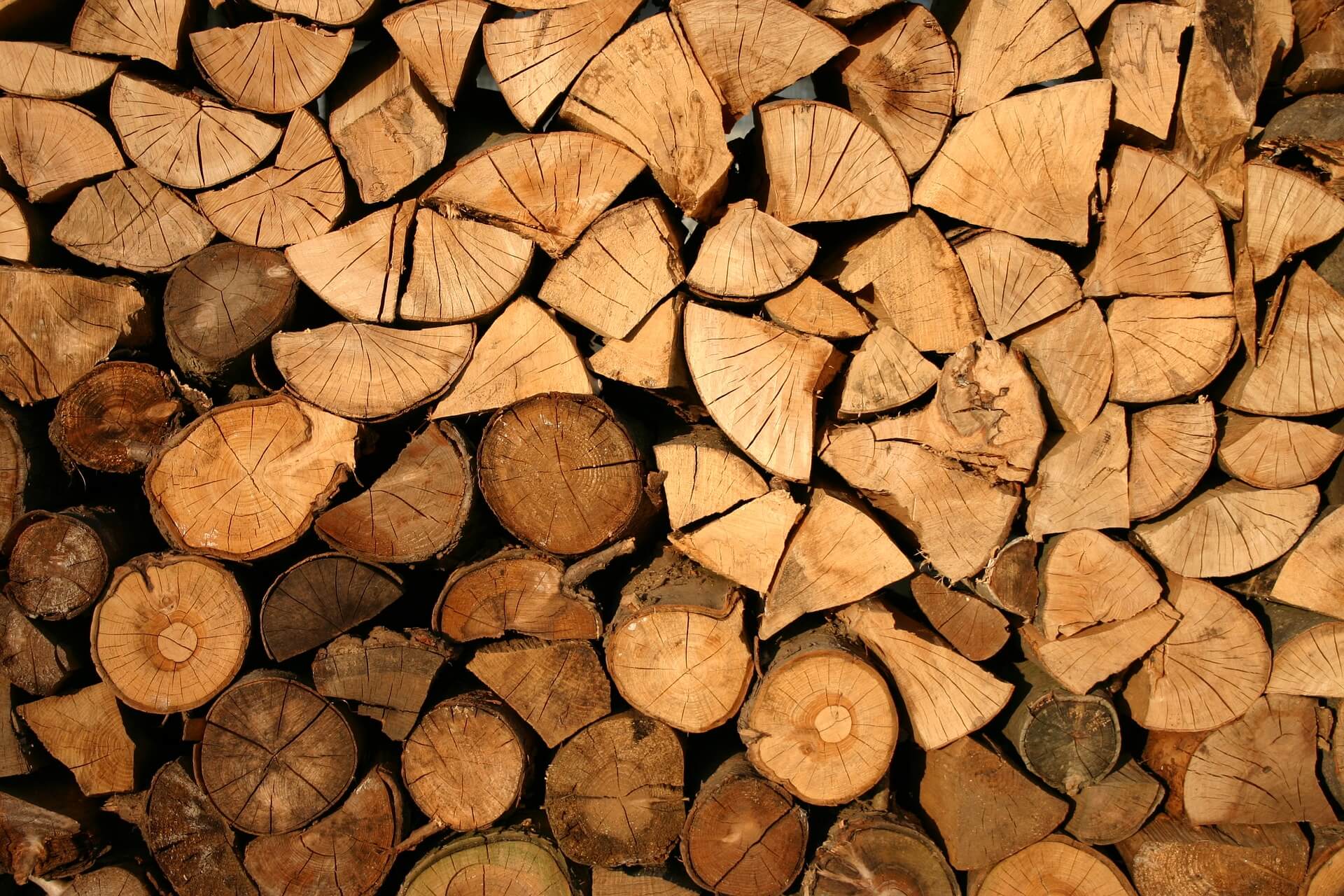 Firewood Pests