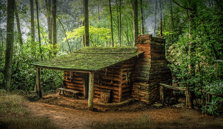 A Better Life with Forest Living